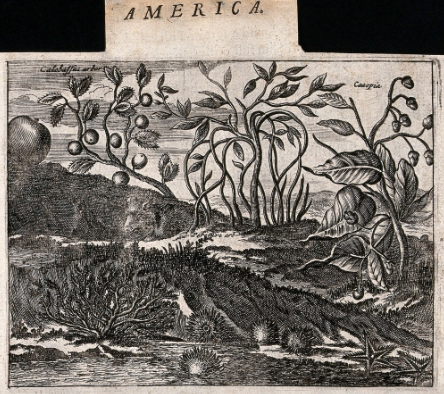 Screen Shot 2019-08-07 at 7.12.57 AM