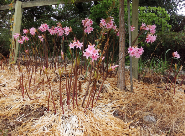 Screen Shot 2019-08-10 at 12.09.51 PM